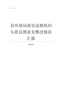 县环保局落实巡察组回头看反馈意见整改情况汇报区委巡察组和环保局哪个好