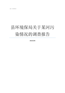 县环境保局关于某河污染情况的调查报告河污