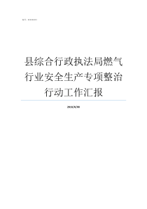 县综合行政执法局燃气行业安全生产专项整治行动工作汇报县城市管理行政执法局