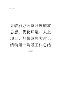 县政府办公室开展解放思想优化环境大上项目加快发展大讨论活动第一阶段工作总结县政府办公室有几个