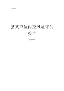 县某单位内控风险评估报告内控风险评估报告