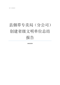县烟草专卖局分公司创建省级文明单位总结报告