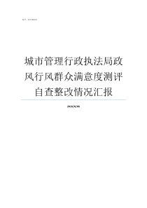 城市管理行政执法局政风行风群众满意度测评自查整改情况汇报城市管理行政执法局网