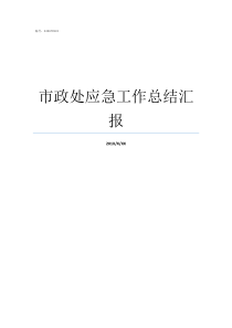 市政处应急工作总结汇报