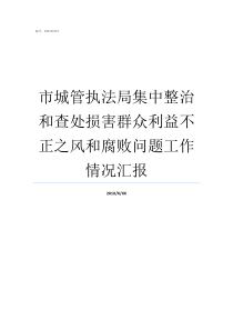 市城管执法局集中整治和查处损害群众利益不正之风和腐败问题工作情况汇报市城管执法局局长