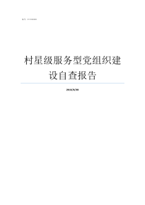 村星级服务型党组织建设自查报告