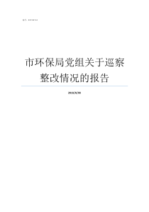 市环保局党组关于巡察整改情况的报告区委巡察组和环保局哪个好