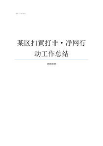 某区扫黄打非净网行动工作总结扫黄打非净网2014