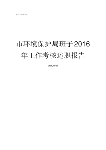 市环境保护局班子2016年工作考核述职报告