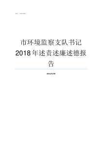 市环境监察支队书记2018年述责述廉述德报告成都市环境监察支队