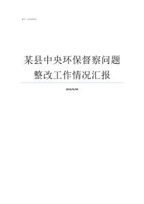 某县中央环保督察问题整改工作情况汇报