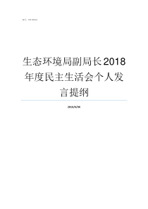 生态环境局副局长2018年度民主生活会个人发言提纲北京生态环境局