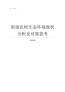 街道农村生态环境现状分析及对策思考现在生态环境的现状