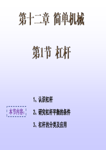 12.1杠杆