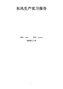 东风生产实习报告