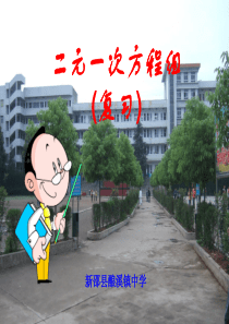 第二章-二元一次方程组复习-课件(七年级湘教版下册)