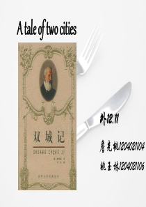 双城记分析
