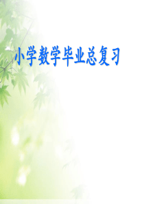 小学数学毕业总复习课件.ppt