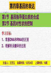 第四章《基因的表达》复习总结课
