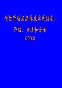 慢性肾脏疾病临床实践指南-