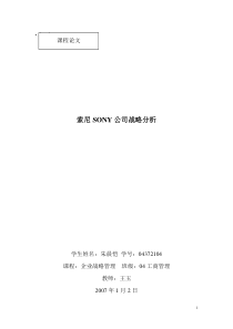 索尼公司战略分析
