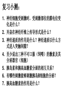 神经调节和体液调节的关系(共19张PPT)