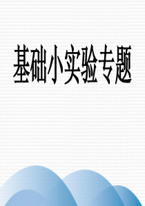 2020年广东省中考物理专项精华卷二-基础小实验专题