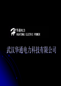 武汉华通电力科技有限公司