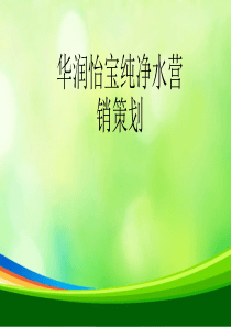 某纯净水营销策划(ppt-36页)