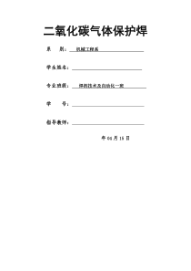 二氧化碳气体保护焊(毕业论文doc)