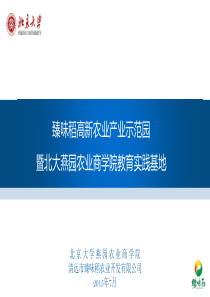 农业运营方案