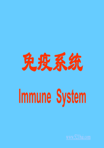 免疫系统PPT