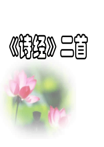 诗经二首课件