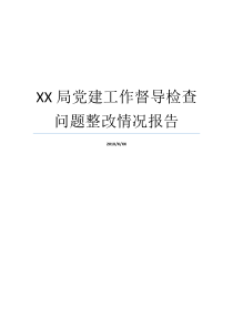 XX局党建工作督导检查问题整改情况报告党建工作推进情况报告基层党建工作整改报告
