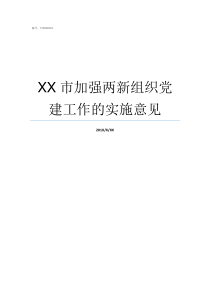 XX市加强两新组织党建工作的实施意见什么叫两新组织及其党组织