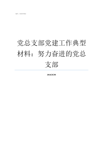 党总支部党建工作典型材料努力奋进的党总支部支部党建工作总结
