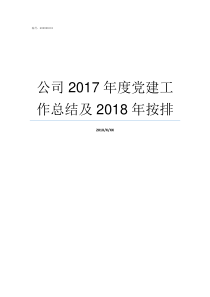 公司2017年度党建工作总结及2018年按排