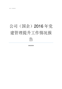 公司国企2016年党建管理提升工作情况报告国有独资公司是国企吗