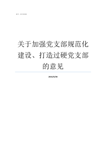 关于加强党支部规范化建设打造过硬党支部的意见