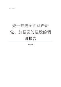 关于推进全面从严治党加强党的建设的调研报告落实全面从严治党