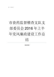 市食药监督稽查支队支部委员会2016年上半年党风廉政建设工作总结稽查总队
