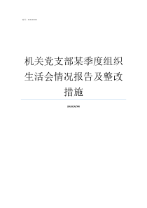机关党支部某季度组织生活会情况报告及整改措施2019年第二季度党课