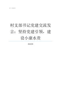 村支部书记党建交流发言坚持党建引领建设小康水贵