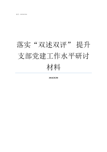 落实双述双评nbsp提升支部党建工作水平研讨材料