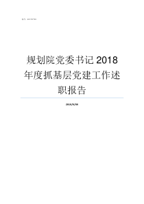 规划院党委书记2018年度抓基层党建工作述职报告学院党委书记