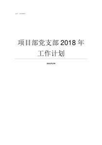 项目部党支部2018年工作计划项目部党支部成立