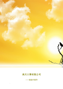 美天口罩有限公司创业计划书