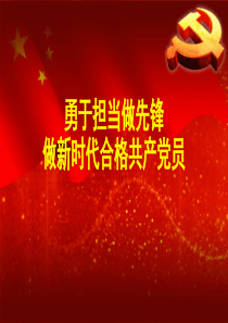 书记上党课--做新时代合格共产党员勇于担当做先锋