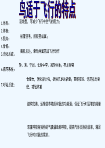 第七节-哺乳动物