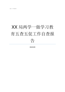 XX局两学一做学习教育五查五促工作自查报告